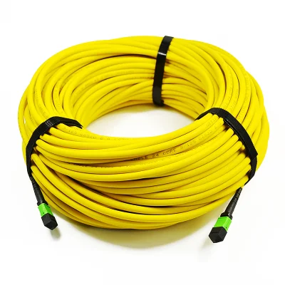 Cable troncal de fibra óptica MPO/APC 24core 48core Sm Ofnp